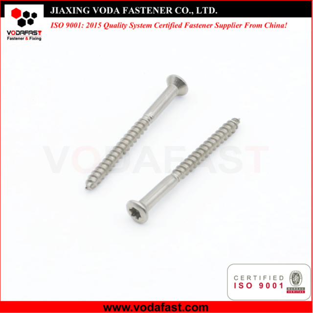 Customized Stainless Steel Screw