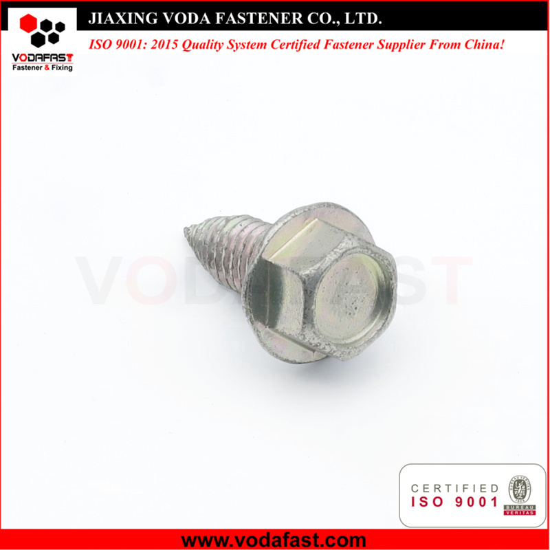 Customized Hex Flange Head Self Tapping Screw