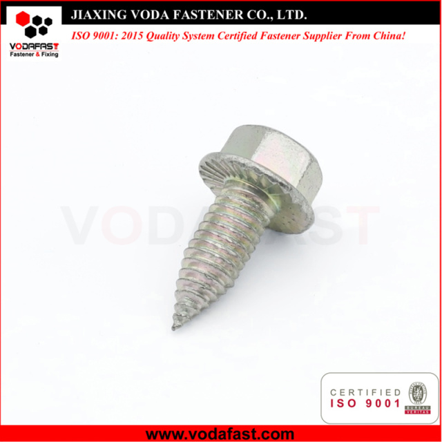 Customized Hex Flange Head Self Tapping Screw