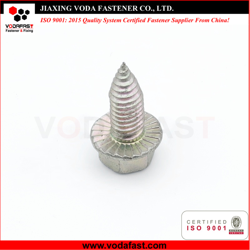 Customized Hex Flange Head Self Tapping Screw