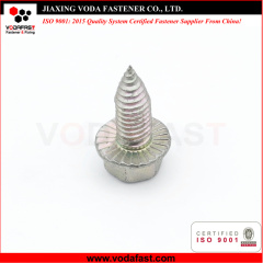 Customized Hex Flange Head Self Tapping Screw