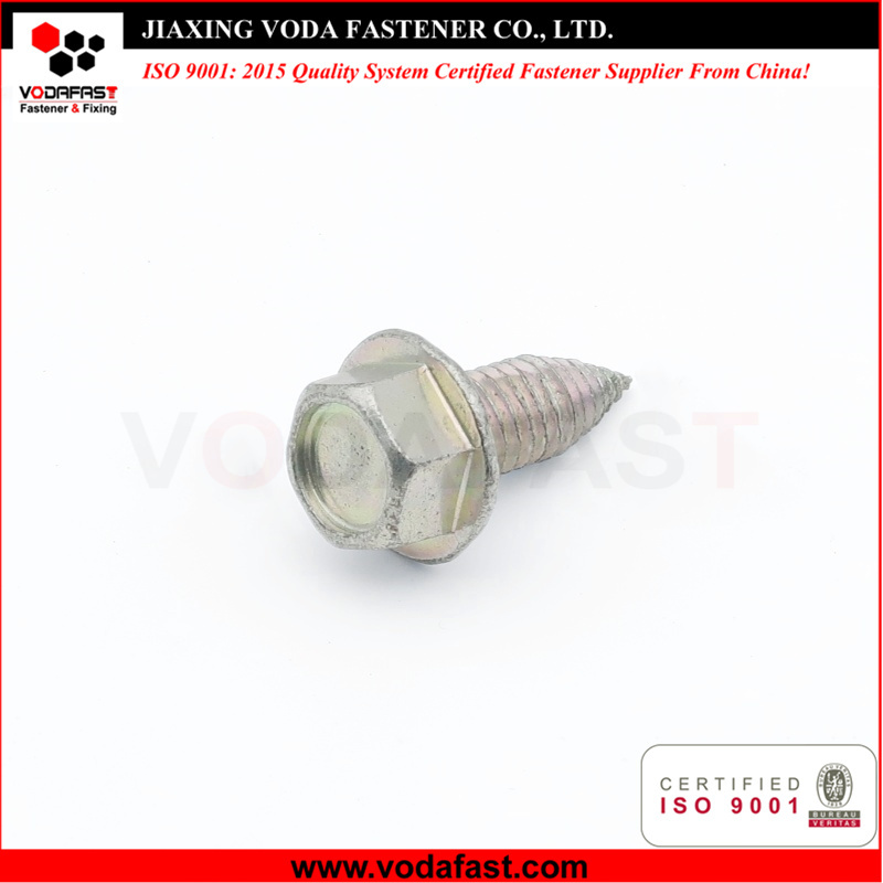 Customized Hex Flange Head Self Tapping Screw