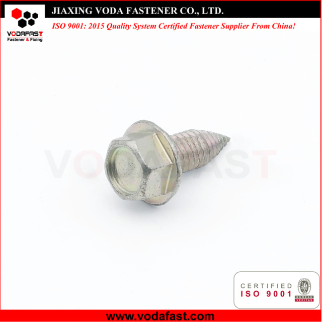 Customized Hex Flange Head Self Tapping Screw