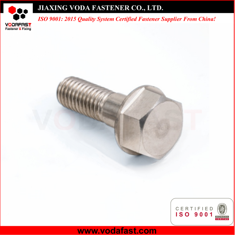 Customized Stainless Steel Bolts