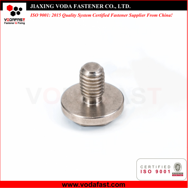 Customized Stainless Steel Bolts