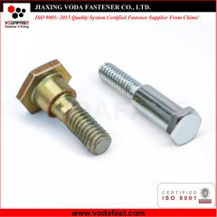 Customized Special Shoulder Bolt
