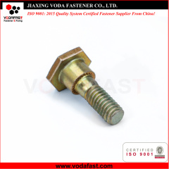 Customized Special Shoulder Bolt