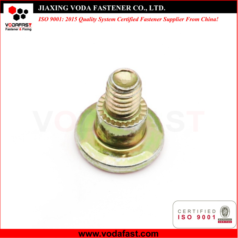 Customized Shoulder Bolts