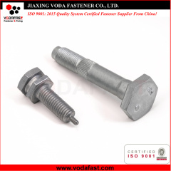 Customized Bolts