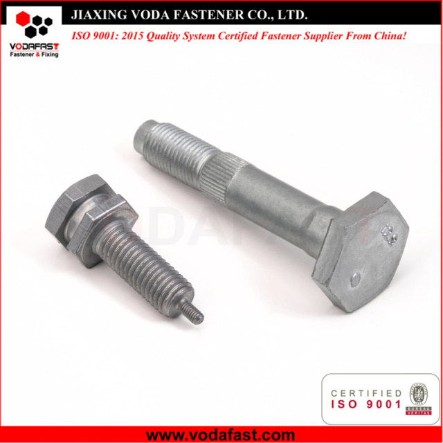 Customized Bolts