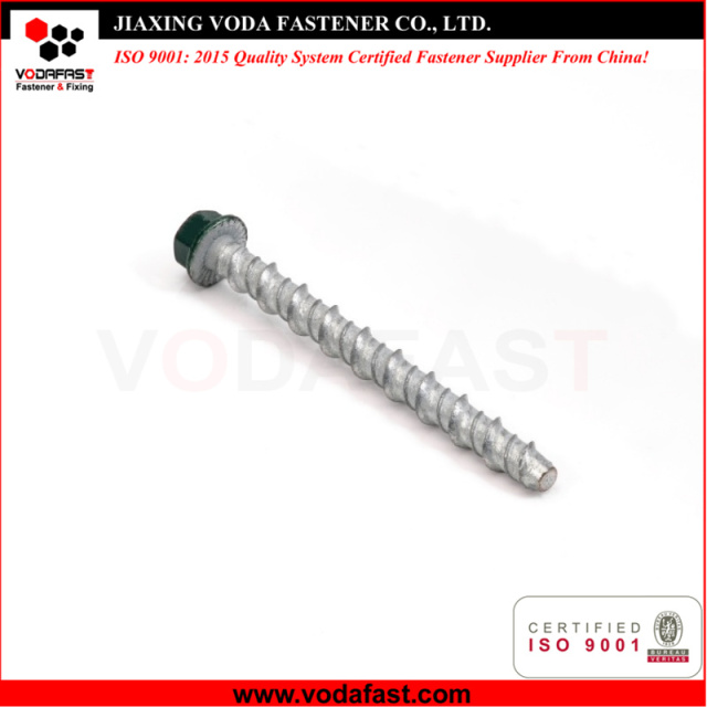 Customized Paint Head Concrete Bolts