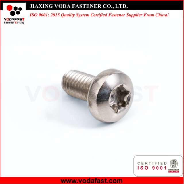 Big Pan Head Torx Drive Machine Screws