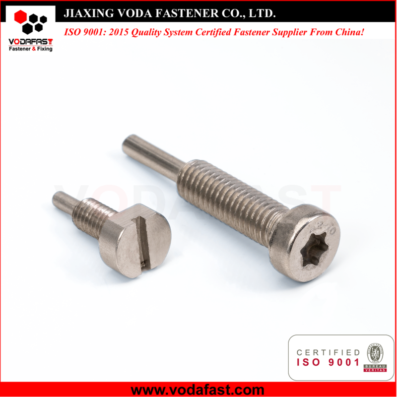 Customized Machine Screw with Dog Point