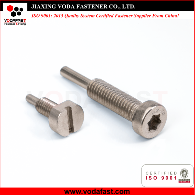Customized Machine Screw with Dog Point