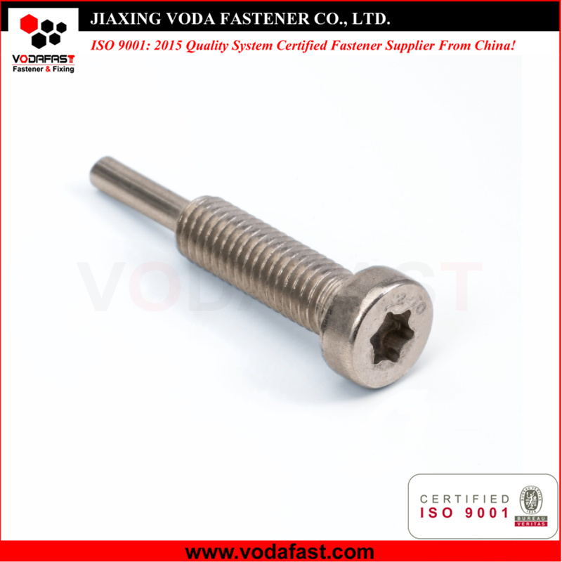 Customized Machine Screw with Dog Point