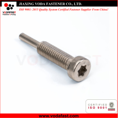 Customized Machine Screw with Dog Point