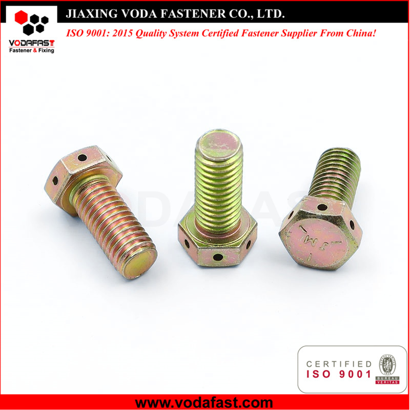 Hex Bolt with Holes