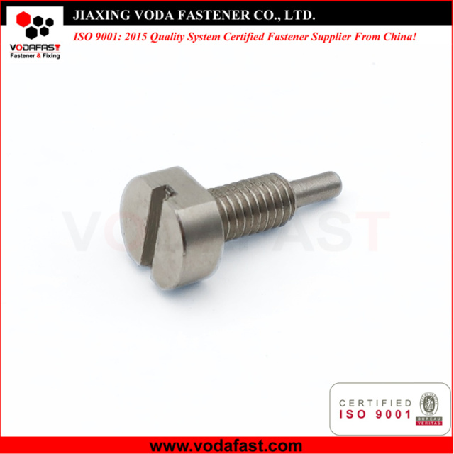 Customized Machine Screw with Dog Point