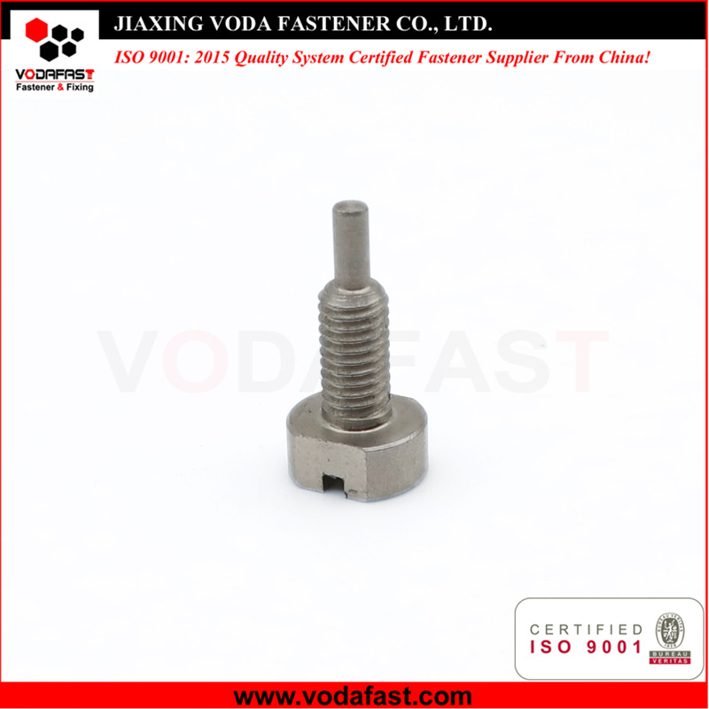 Customized Machine Screw with Dog Point