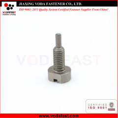 Customized Machine Screw with Dog Point