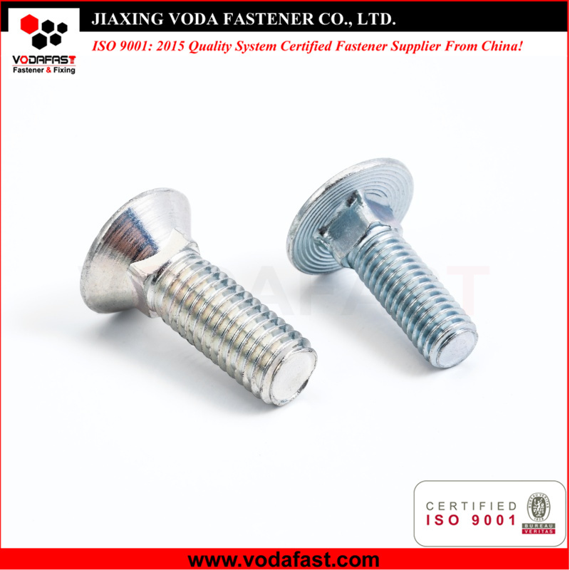 Flat Head Square Neck Carriage Bolt Plow Bolt