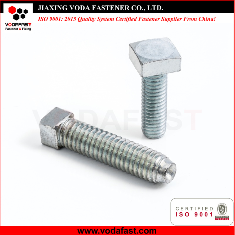 Customized Square Bolt