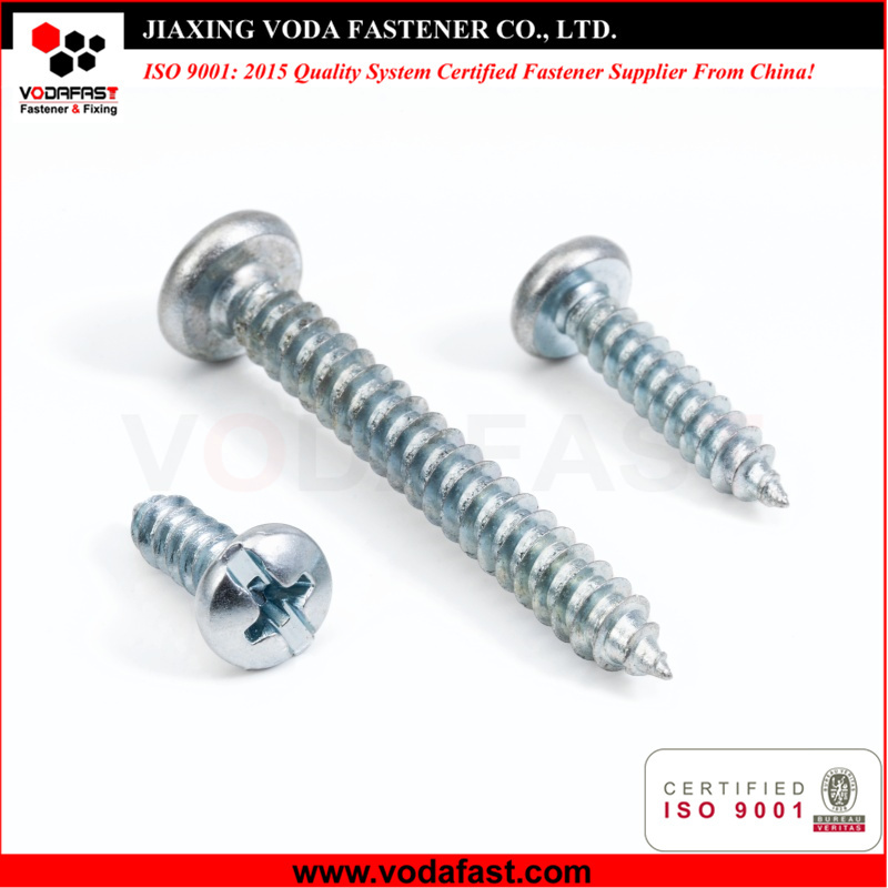 Self Tapping Screws