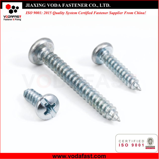 Self Tapping Screws