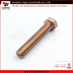 Customized  Slotted End Hex Bolt