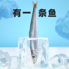 有魚Numbers系列有一條魚北太平洋鯖魚50g