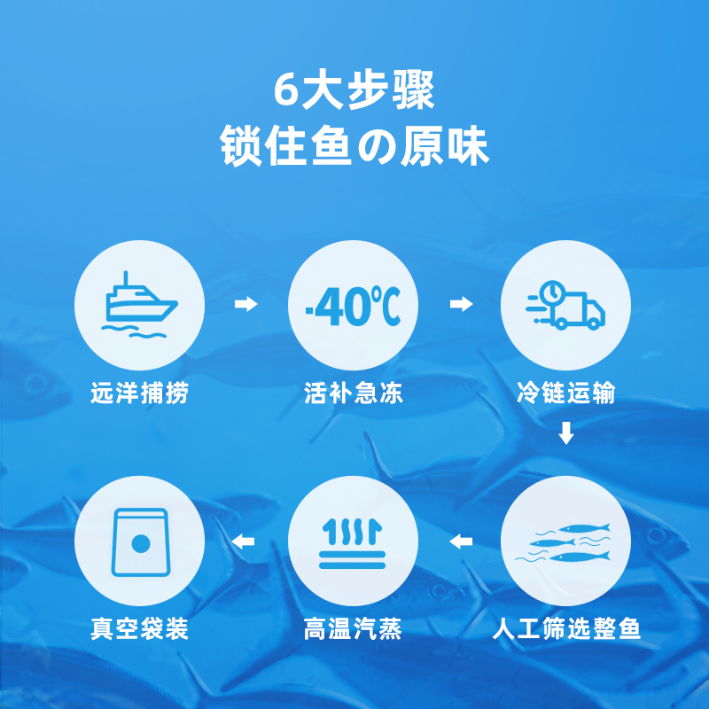 有魚Numbers系列有一條魚北太平洋鯖魚50g