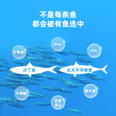 有魚Numbers系列有一條魚北太平洋鯖魚50g