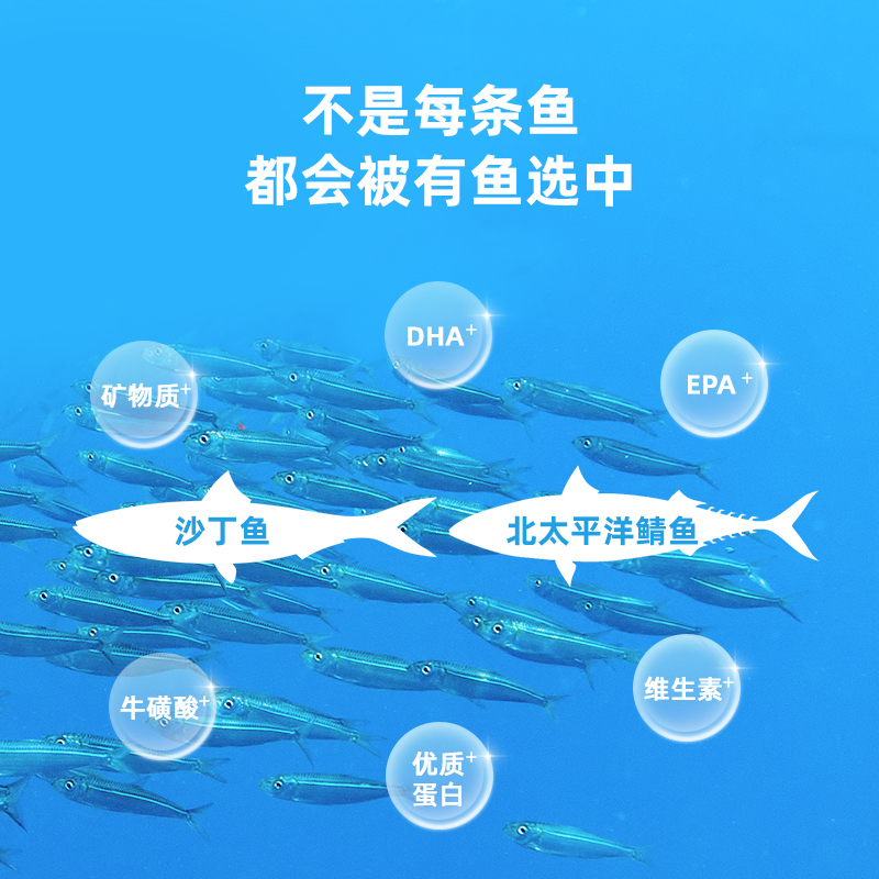 有魚Numbers系列有一條魚北太平洋鯖魚50g