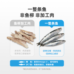 有魚Numbers系列有一條魚北太平洋鯖魚50g