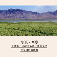 人參枸杞原漿 30ml*8袋