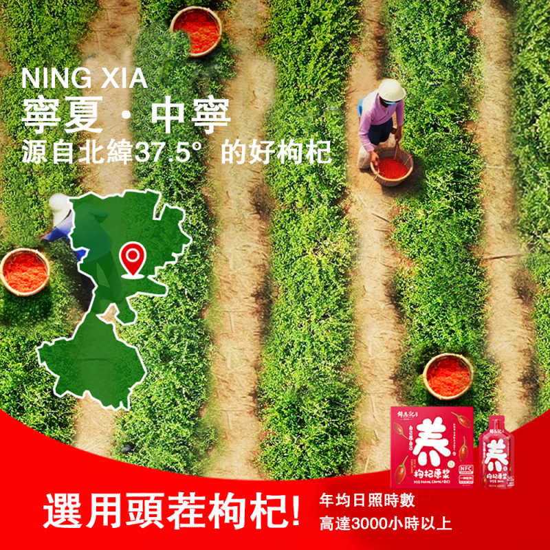 紅枸杞原漿 30ml*8袋