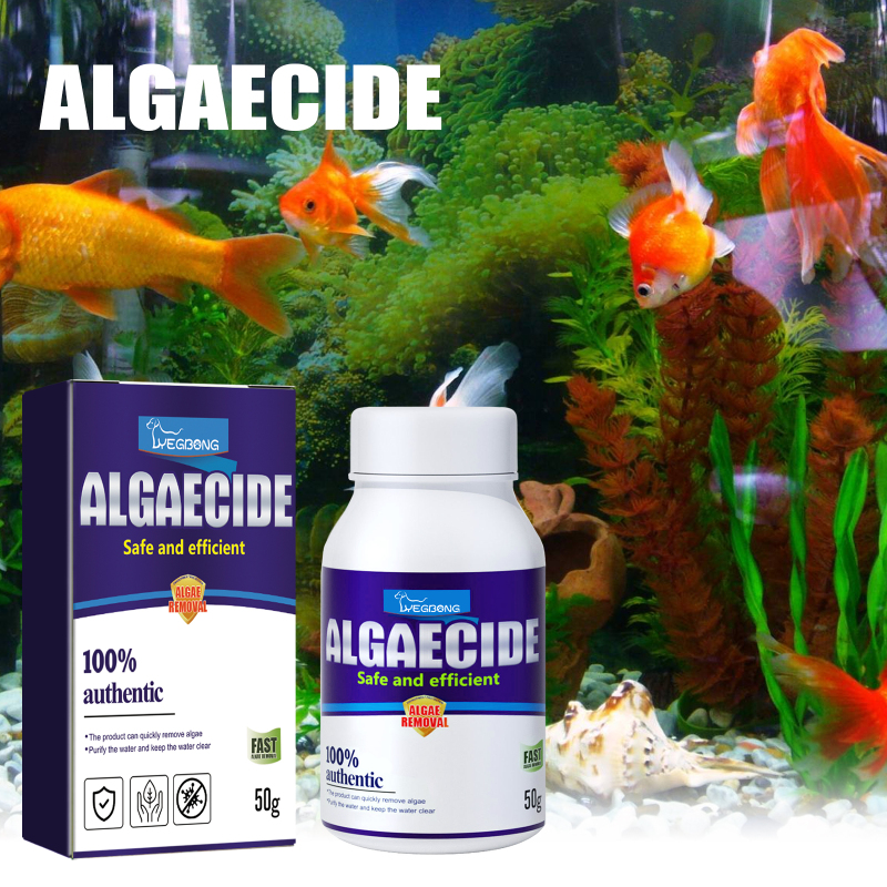 Yegbong Algae Removal Aquarium Algae Removal Potion Moss Removal Aquarium Algae Removal Potion Fish Tank Algae Removal Potion Green