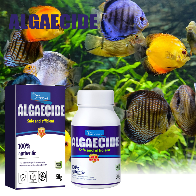 Yegbong Algae Removal Aquarium Algae Removal Potion Moss Removal Aquarium Algae Removal Potion Fish Tank Algae Removal Potion Green