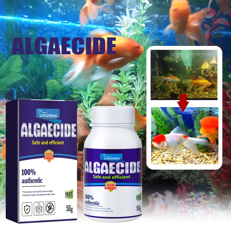 Yegbong Algae Removal Aquarium Algae Removal Potion Moss Removal Aquarium Algae Removal Potion Fish Tank Algae Removal Potion Green