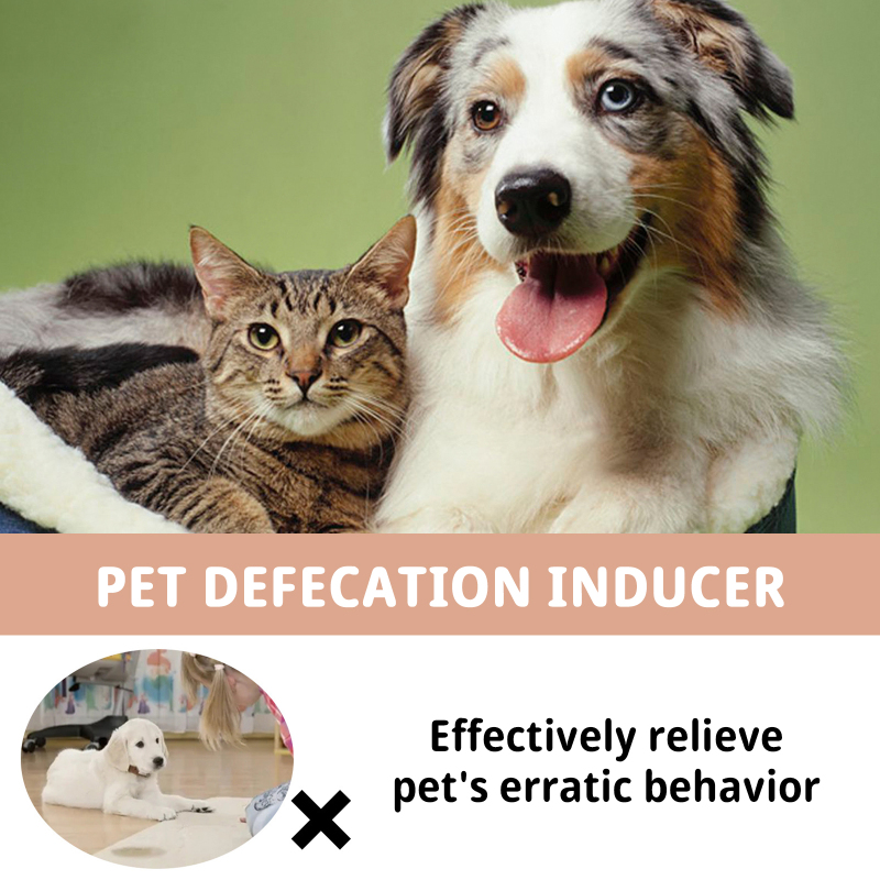 Jaysuing Pet Defecation Inducer Pet Target Training Inducer Pet Toilet Inducer
