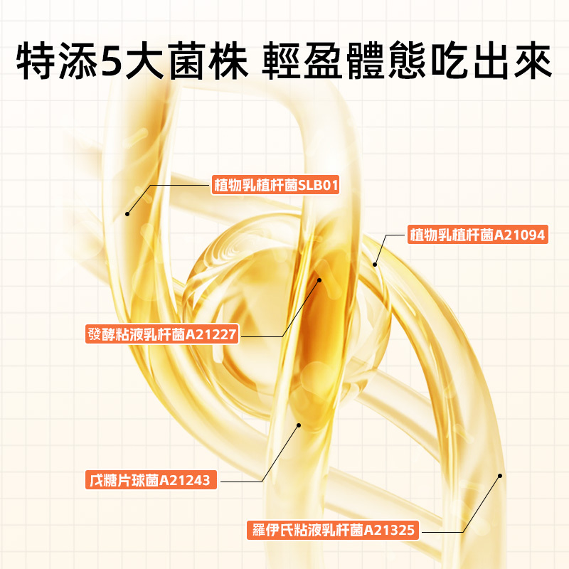 【愛生纖逸益生菌固體飲料】10000億CFU/盒 60g（3g*20條）/盒 肥胖 久坐不動 飲食油膩 易胖體質
