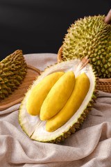 貓山霸王 馬來西亞 貓山王榴蓮鮮果(冰鮮0-4°C)  10kg