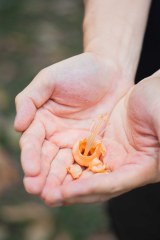 貓山霸王 D200馬來西亞 黑刺榴蓮鮮果(冰鮮0-4°C)