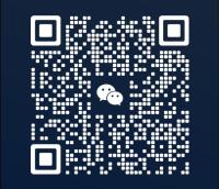 Payless auto wholesale