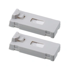 2pcs battery