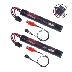 2Battery 2USB SM4P-Plug