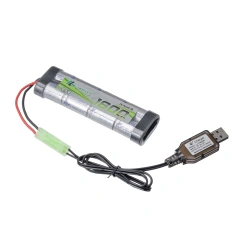 battery with charger