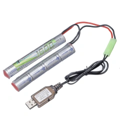 battery with charger