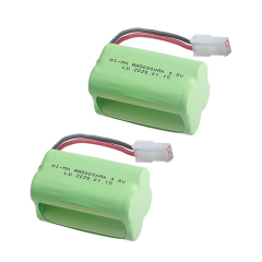 2Battery 4.8V 5557-2P