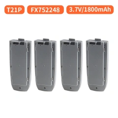 T21P 4Battery